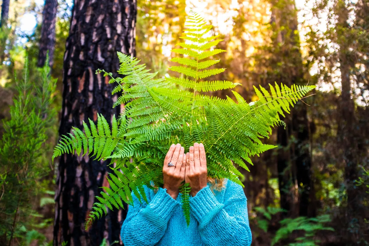 unrecognizable person hidden by leafs from nature